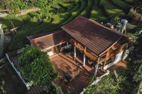 Lodge Luckydaisy Buffalo House