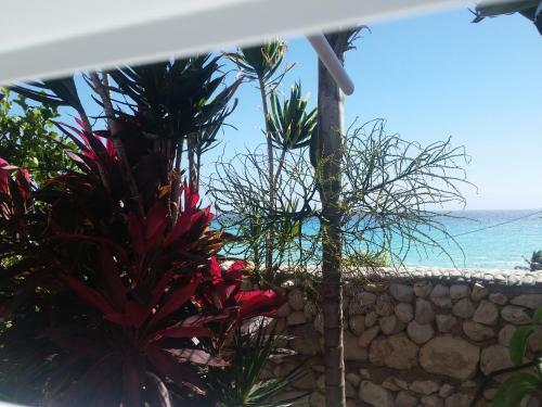 Ecolodge Vistamar