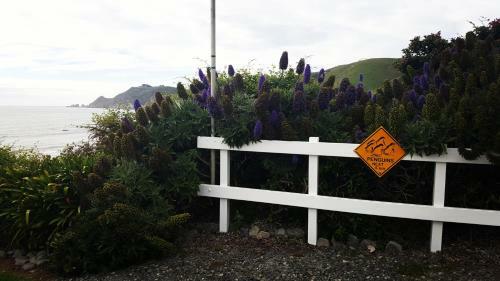 Kaka Point Spa Motel At Catlins