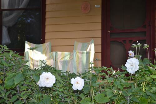Hotel Lemonade Creek Cottages