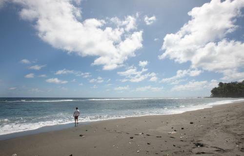 Hotel Friendly Beach