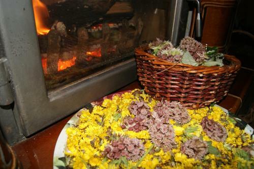 Chalet Horn� Orlice