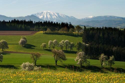 Familienhotel Die Hochrie�