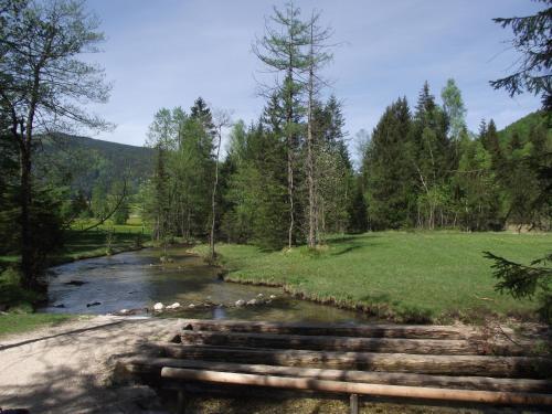 Apartamentos Ferienwohnung Am R�merweg Wald