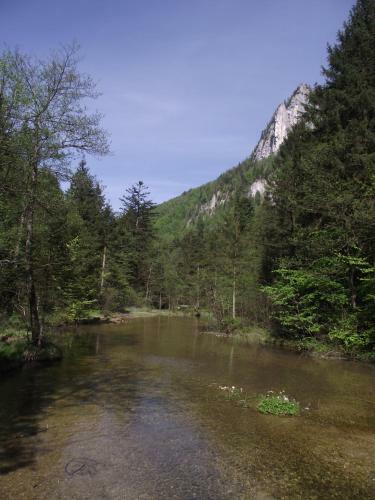 Apartamentos Ferienwohnung Am R�merweg Wald