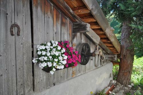 Agroturismo Hofstatthof