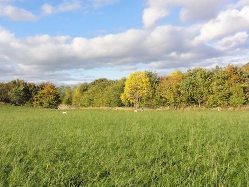 Edenmouth Holiday Cottages