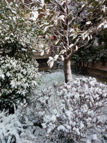 B&B Tre Conigli Sul Com�