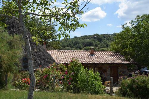 Agroturismo Agriturismo Su Pinnettu