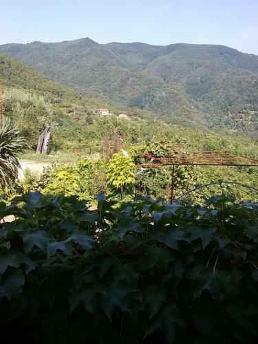 Bed & Breakfast Casa Virgilio