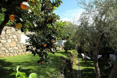 Apartamento Torre Di Sebastiano
