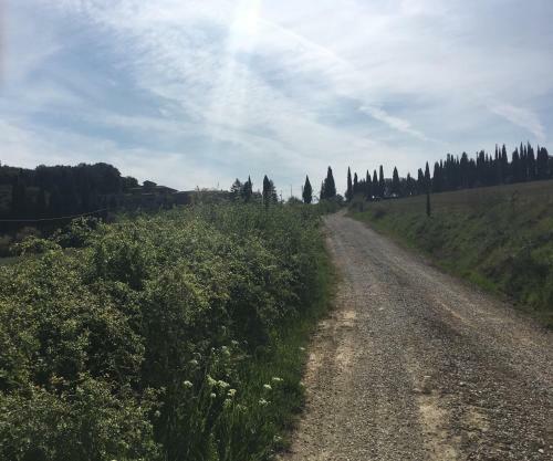 Hotel Cordella In Montalcino Wine Resort