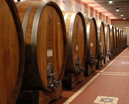 Hotel Cordella In Montalcino Wine Resort