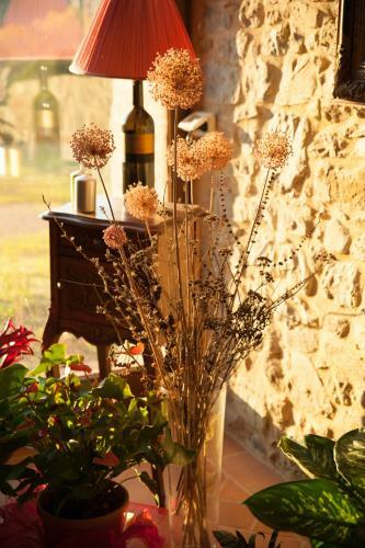 Hotel Cordella In Montalcino Wine Resort