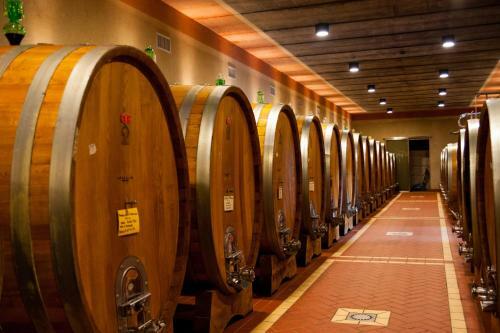 Hotel Cordella In Montalcino Wine Resort