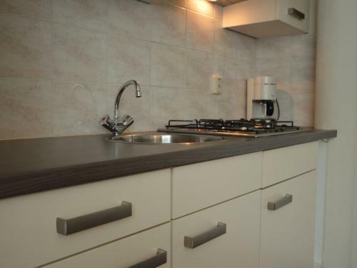 Homely Apartment In Schin Op Geul With Terrace