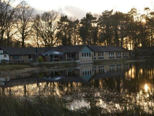 Unique Holiday Home In Stramproy Near Forest