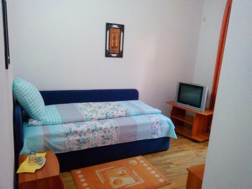 Hostal Pensiunea Vladut Timisoara