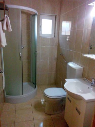 Hostal Pensiunea Vladut Timisoara