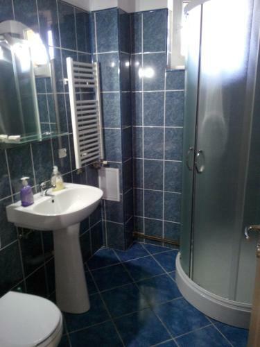 Hostal Pensiunea Vladut Timisoara