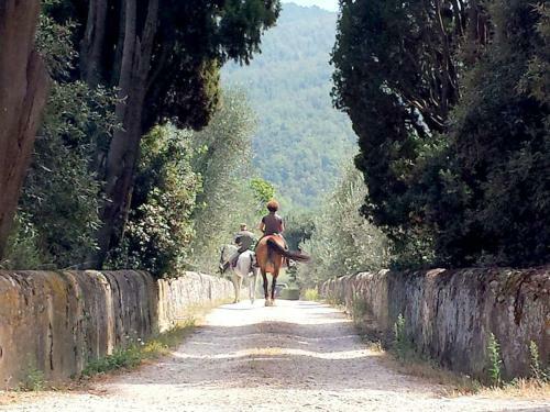 Holiday Home Villa Lecceta