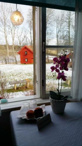 Albergue Stora Djul� Vandrarhem