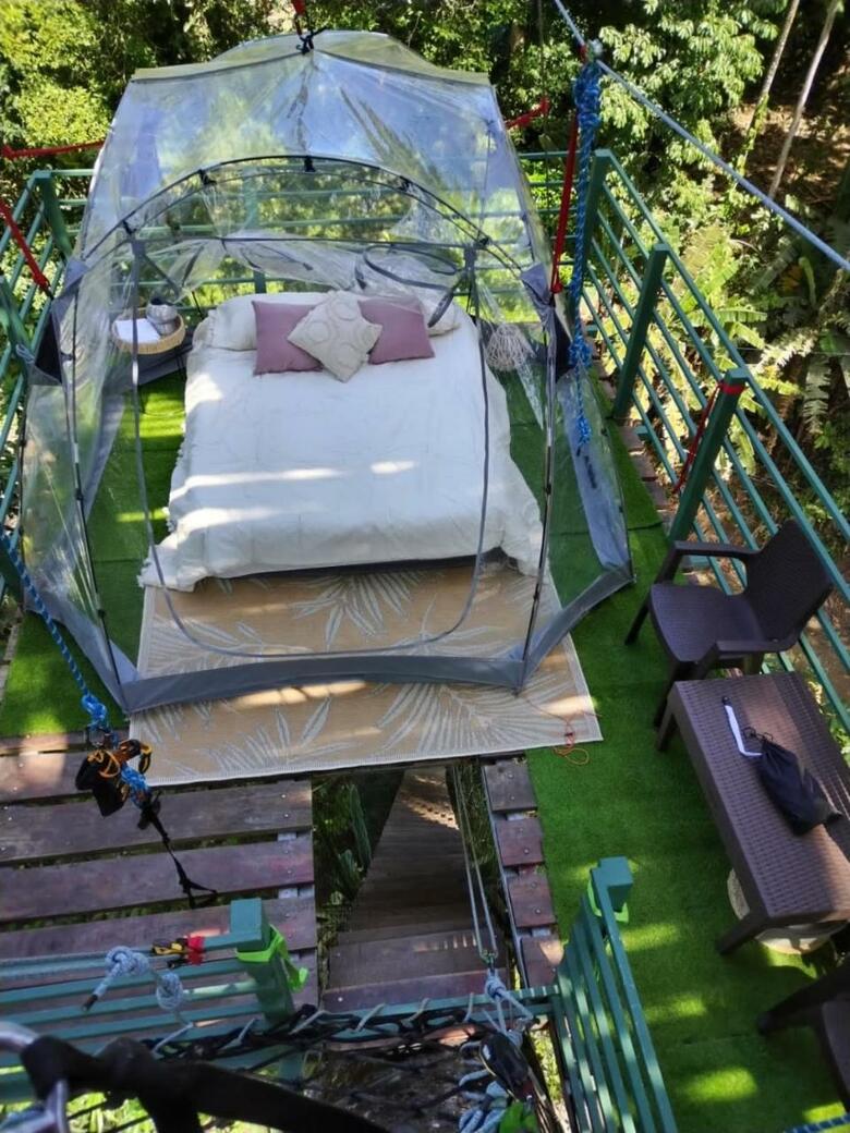 Jungle Green House