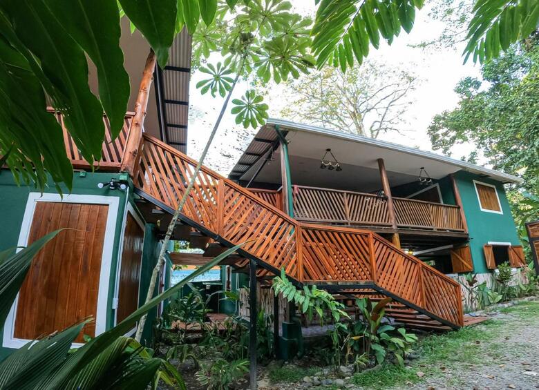 Jungle Green House