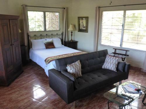 Hotel The Golden Frog Inn