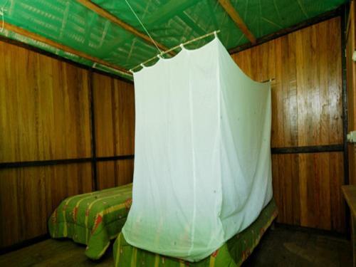 Pacaya Samiria Ivy Mara Ey Lodge