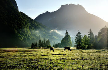 Landhotel B�ld - Ringhotel Oberammergau