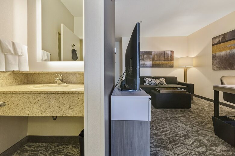 Hotel Springhill Suites By Marriott Sacramento Airport Natomas