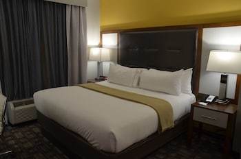 Holiday Inn Express Hotel & Suites Albany