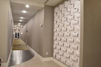 Holiday Inn Express Hotel & Suites Albany