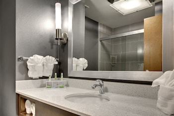 Holiday Inn Express Hotel & Suites Albany
