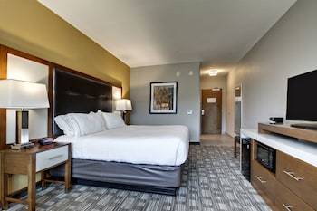 Holiday Inn Express Hotel & Suites Albany