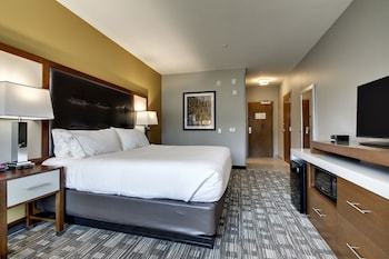 Holiday Inn Express Hotel & Suites Albany