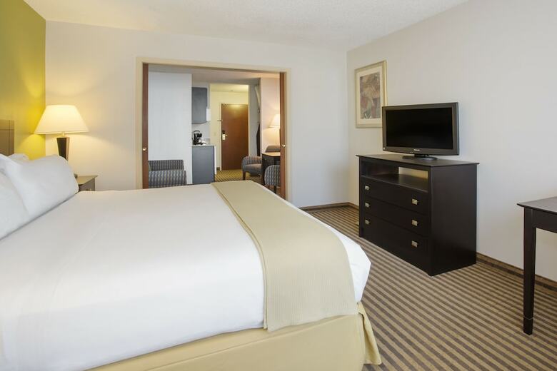 Holiday Inn Express Hotel & Suites Kalamazoo