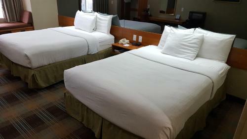 Hotel Microtel Inn & Suites By Wyndham Bozeman