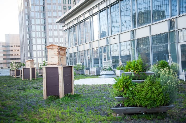 Hotel The Ritz-carlton, Charlotte