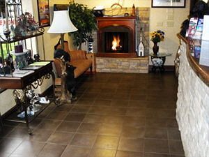 Hotel Lazy Bear Inn