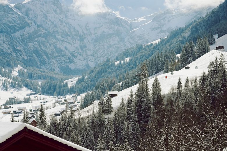 Hotel Minotel Waldhaus - Huldi