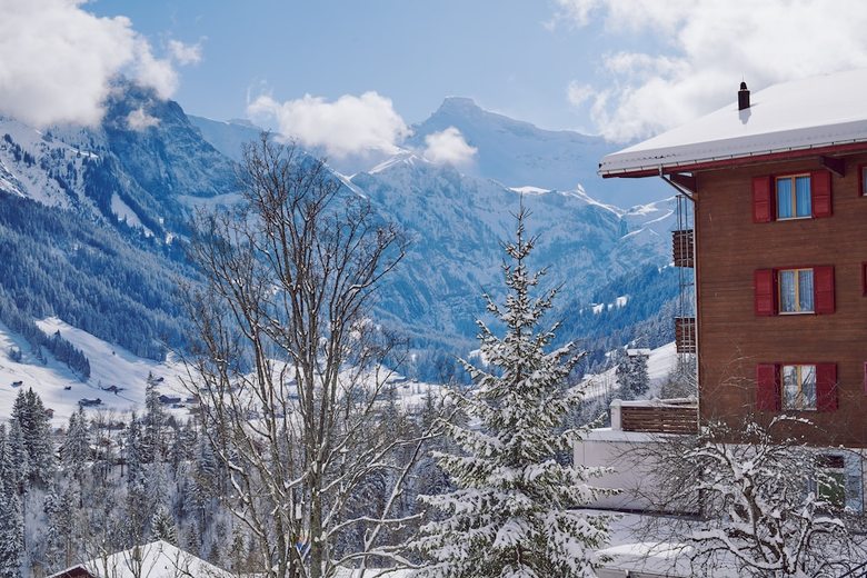 Hotel Minotel Waldhaus - Huldi