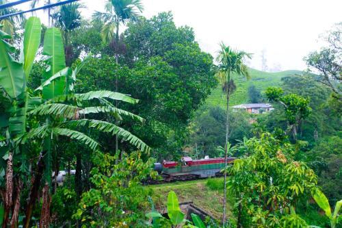 Bed & Breakfast Ella Nature Resort
