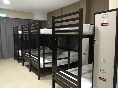 Albergue Adamson Lodge