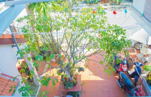 Hotel Halo Homestay