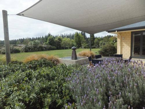 Bed & Breakfast Number Six Homestay