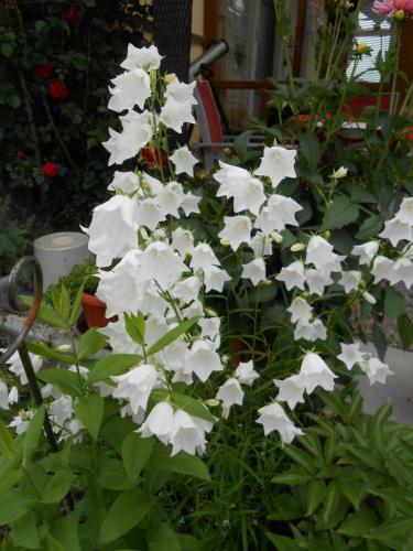 Apartamento Ferienwohnung Gro�