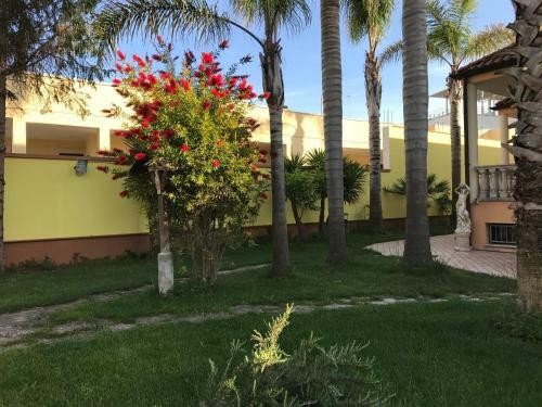 Le Palme B&B