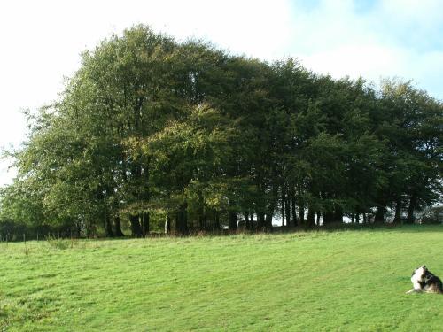 Ebborways Farm Bed And Breakfast